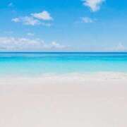 ヒメ日記 2025/11/27 12:01 投稿 みこと 熟女の風俗最終章 蒲田店