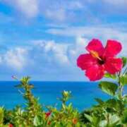 ヒメ日記 2025/11/28 11:10 投稿 みこと 熟女の風俗最終章 蒲田店