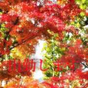 ヒメ日記 2025/12/04 22:30 投稿 みこと 熟女の風俗最終章 蒲田店