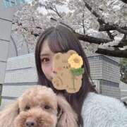 ヒメ日記 2026/04/02 21:00 投稿 みなみ シャングリラ