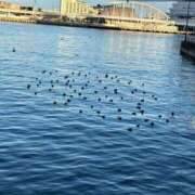 ヒメ日記 2024/12/15 09:09 投稿 りんこ 奥様鉄道69 岡山店