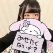 ヒメ日記 2026/01/12 08:48 投稿 ほのか ぷるりんクエスト上野浅草鶯谷秋葉原デリヘル王国