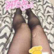 ヒメ日記 2026/04/22 08:48 投稿 ほのか ぷるりんクエスト上野浅草鶯谷秋葉原デリヘル王国