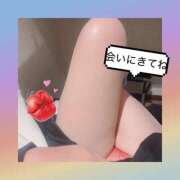 ヒメ日記 2025/01/27 11:19 投稿 小田かえら 一夜妻