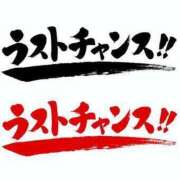 ヒメ日記 2025/04/16 14:59 投稿 小田かえら 一夜妻
