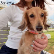 ヒメ日記 2025/09/02 07:34 投稿 さやか YESグループ TSUBAKI FIRST