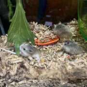 ヒメ日記 2025/02/22 21:23 投稿 らら あとりえ(ATELIER)