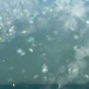 ヒメ日記 2025/06/12 18:45 投稿 らら あとりえ(ATELIER)