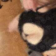 ヒメ日記 2025/11/25 08:45 投稿 らら あとりえ(ATELIER)