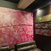 ヒメ日記 2025/10/19 21:40 投稿 える 熟女の風俗最終章 高崎店