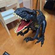 ヒメ日記 2025/11/06 14:08 投稿 える 熟女の風俗最終章 高崎店