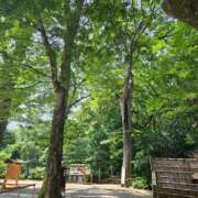 ヒメ日記 2025/11/20 11:58 投稿 える 熟女の風俗最終章 高崎店