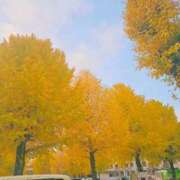 ヒメ日記 2025/11/28 13:38 投稿 える 熟女の風俗最終章 高崎店