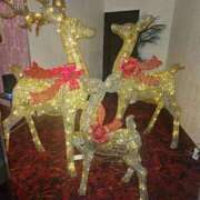 ヒメ日記 2025/12/24 10:18 投稿 える 熟女の風俗最終章 高崎店