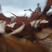 ヒメ日記 2025/12/27 11:38 投稿 える 熟女の風俗最終章 高崎店