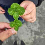 ヒメ日記 2026/02/25 10:08 投稿 える 熟女の風俗最終章 高崎店