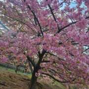 ヒメ日記 2026/03/08 12:28 投稿 える 熟女の風俗最終章 高崎店