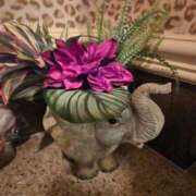 ヒメ日記 2026/03/10 11:08 投稿 える 熟女の風俗最終章 高崎店