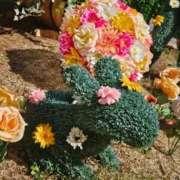 ヒメ日記 2026/03/23 12:30 投稿 える 熟女の風俗最終章 高崎店