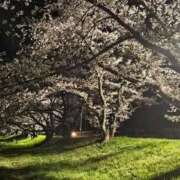 ヒメ日記 2026/04/05 15:38 投稿 える 熟女の風俗最終章 高崎店