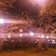 ヒメ日記 2026/04/11 23:08 投稿 える 熟女の風俗最終章 高崎店