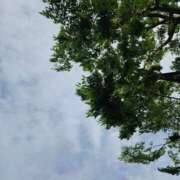 ヒメ日記 2026/04/28 12:24 投稿 える 熟女の風俗最終章 高崎店