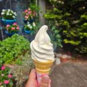 ヒメ日記 2026/08/16 12:09 投稿 える 熟女の風俗最終章 高崎店