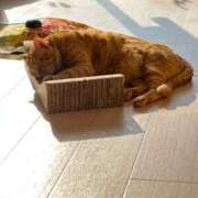 ヒメ日記 2024/12/17 00:32 投稿 御堂 みゆ プルプルハウス