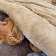 ヒメ日記 2024/12/17 14:21 投稿 御堂 みゆ プルプルハウス