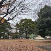 ヒメ日記 2024/12/21 23:53 投稿 御堂 みゆ プルプルハウス