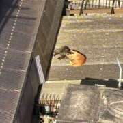 ヒメ日記 2025/01/03 12:31 投稿 御堂 みゆ プルプルハウス