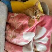 ヒメ日記 2025/01/03 13:01 投稿 御堂 みゆ プルプルハウス