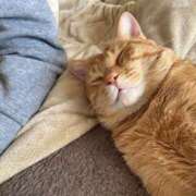 ヒメ日記 2025/01/12 21:10 投稿 御堂 みゆ プルプルハウス