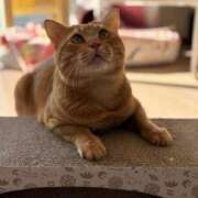 ヒメ日記 2025/01/18 20:22 投稿 御堂 みゆ プルプルハウス