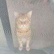 ヒメ日記 2025/01/21 15:30 投稿 御堂 みゆ プルプルハウス