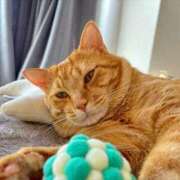 ヒメ日記 2025/01/25 10:31 投稿 御堂 みゆ プルプルハウス