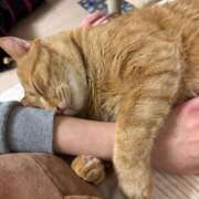 ヒメ日記 2025/02/02 09:08 投稿 御堂 みゆ プルプルハウス