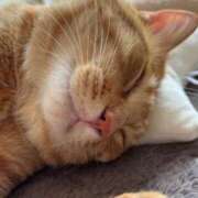 ヒメ日記 2025/02/03 13:52 投稿 御堂 みゆ プルプルハウス