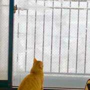 ヒメ日記 2025/02/05 17:20 投稿 御堂 みゆ プルプルハウス