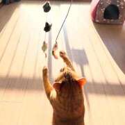 ヒメ日記 2025/02/12 06:45 投稿 御堂 みゆ プルプルハウス