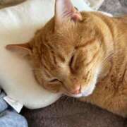 ヒメ日記 2025/02/12 09:02 投稿 御堂 みゆ プルプルハウス