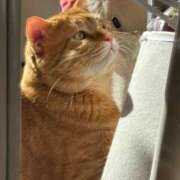 ヒメ日記 2025/02/12 10:00 投稿 御堂 みゆ プルプルハウス