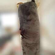 ヒメ日記 2025/02/12 13:33 投稿 御堂 みゆ プルプルハウス