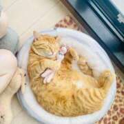 ヒメ日記 2025/02/14 12:30 投稿 御堂 みゆ プルプルハウス