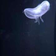 ヒメ日記 2025/02/15 18:07 投稿 御堂 みゆ プルプルハウス