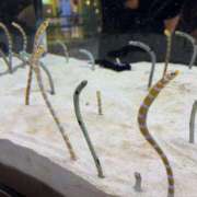 ヒメ日記 2025/02/15 18:32 投稿 御堂 みゆ プルプルハウス