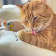 ヒメ日記 2025/02/18 15:15 投稿 御堂 みゆ プルプルハウス