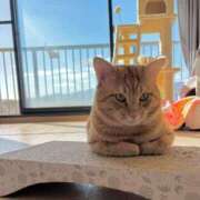 ヒメ日記 2025/02/22 22:09 投稿 御堂 みゆ プルプルハウス