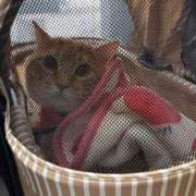 ヒメ日記 2025/02/23 14:14 投稿 御堂 みゆ プルプルハウス