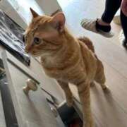 ヒメ日記 2025/02/23 18:16 投稿 御堂 みゆ プルプルハウス